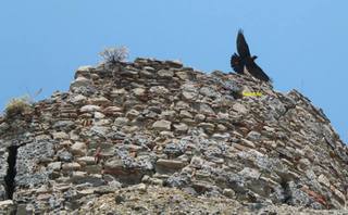 stello Calatabiano-11-06-2014 17-21-15